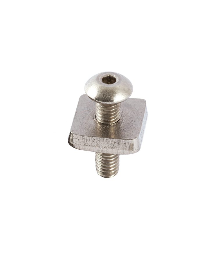 Plate and Screw