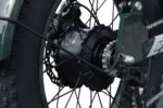 VTUVIA Tiger 35AH E-BIKE - Black - Image 5