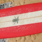 LONGBOARD - Lelewa'a "Whale Shark"