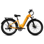 VTUVIA ZEAL LT7 E-BIKE